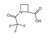 2-Azetidinecarboxylic acid, 1-(trifluoroacetyl)-, (2S)- (9CI) structure