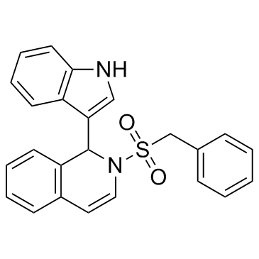 IBR2 Structure