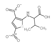 2-[(3,5-dinitrothiophen-2-yl)amino]-3-methyl-butanoic acid Structure