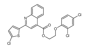 2-(2,4-dichlorophenoxy)ethyl 2-(5-chlorothiophen-2-yl)quinoline-4-carboxylate Structure