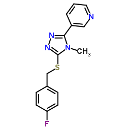 BUTTPARK 64\41-61 Structure