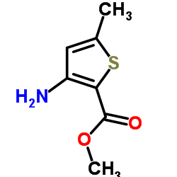 Methyl 3-amino-5-methylthiophene-2-carboxylate Structure