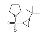 1-(1-tert-butylaziridin-2-yl)sulfonylpyrrolidine结构式