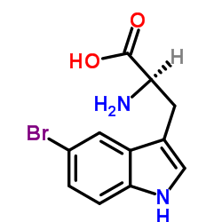 93299-40-2 structure