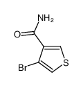 4-溴噻吩-3-甲酰胺结构式