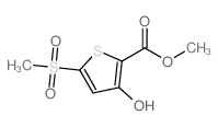 3-羟基-5-(甲基磺酰基)噻吩-2-羧酸甲酯图片