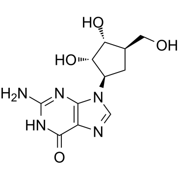 HSV-TK substrate Structure