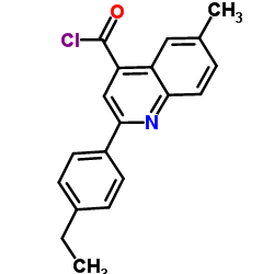 2-(4-Ethylphenyl)-6-methyl-4-quinolinecarbonyl chloride picture