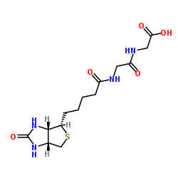 BIOTINYL-GLY-GLY-OH Structure