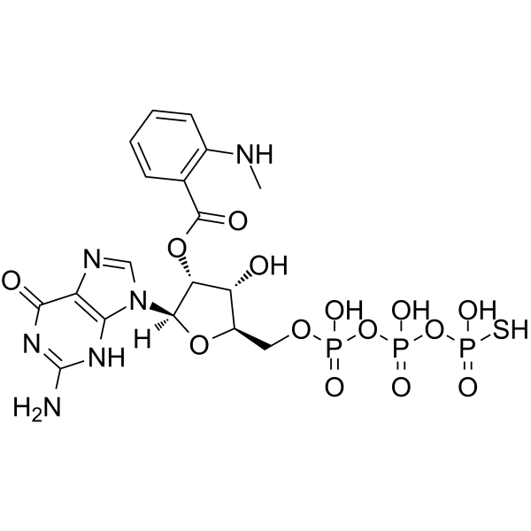 Mant-GTPγS picture