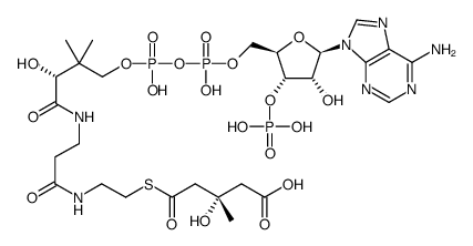 (3S)-3-hydroxy-3-methylglutaryl-CoA Structure