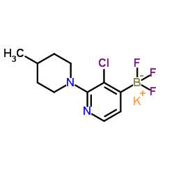 potassium (3-chloro-2-(4-Methylpiperidin-1-yl)pyridin-4-yl)trifluoroborate picture