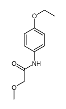 N-(4-ethoxyphenyl)-2-methoxyacetamide structure