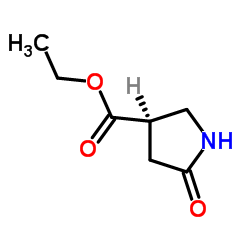 919513-66-9 structure