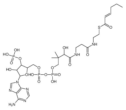 S-[2-[3-[[4-[[[(2R,3S,4R,5R)-5-(6-aminopurin-9-yl)-4-hydroxy-3-phosphonooxyoxolan-2-yl]methoxy-hydroxyphosphoryl]oxy-hydroxyphosphoryl]oxy-2-hydroxy-3,3-dimethylbutanoyl]amino]propanoylamino]ethyl] hex-2-enethioate结构式