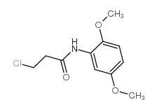 3-chloro-N-(2,5-dimethoxyphenyl)propanamide图片