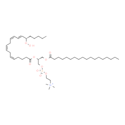 1-Stearoyl-2-15(S)-HpETE-sn-glycero-3-PC Structure