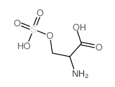 2-amino-3-sulfooxypropanoic acid Structure