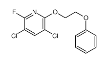 3,5-dichloro-2-fluoro-6-(2-phenoxyethoxy)pyridine结构式