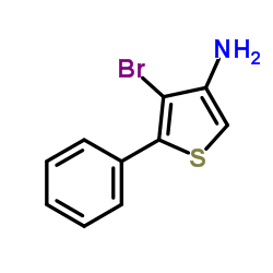 4-Bromo-5-phenyl-3-thiophenamine结构式