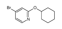 4-bromo-2-(cyclohexyloxy)pyridine结构式