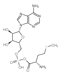 13091-93-5结构式