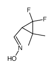 Cyclopropanecarboxaldehyde, 2,2-difluoro-3,3-dimethyl-, oxime (9CI) picture