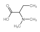 2-(二甲基氨基)丁酸图片