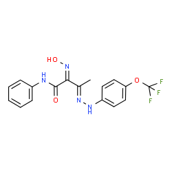2-(HYDROXYIMINO)-N-PHENYL-3-(2-[4-(TRIFLUOROMETHOXY)PHENYL]HYDRAZONO)BUTANAMIDE结构式
