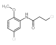 3-Chloro-N-(5-chloro-2-methoxyphenyl)propanamide Structure