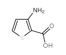 3-Aminothiophene-2-carboxylic acid picture