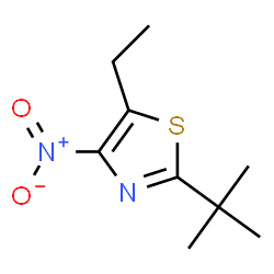 Thiazole, 2-(1,1-dimethylethyl)-5-ethyl-4-nitro- (9CI)结构式