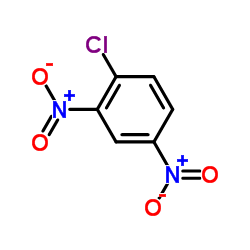 2,4-Dinitrochlorobenzene Structure