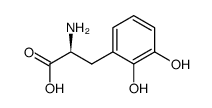 (S)-2-AMINO-3-(2,3-DIHYDROXYPHENYL)PROPANOIC ACID结构式