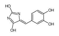 5-[(3,4-dihydroxyphenyl)methylidene]imidazolidine-2,4-dione Structure