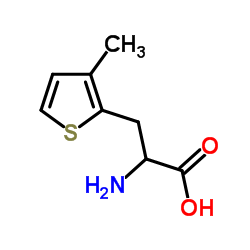 DL-2-(3-METHYLTHIENYL)ALANINE结构式