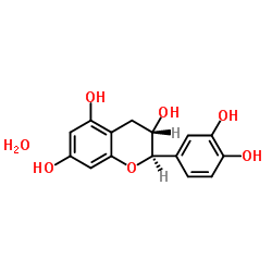 7295-85-4结构式