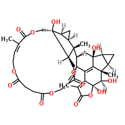 ChloraMultilide C结构式