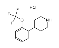 Piperidine, 4-[2-(trifluoromethoxy)phenyl]-图片