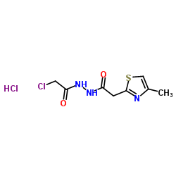 2-chloro-N'-[(4-methyl-1,3-thiazol-2-yl)acetyl]acetohydrazide hydrochloride picture