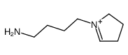 4-(3,4-dihydro-2H-pyrrol-1-ium-1-yl)butan-1-amine Structure