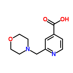 2-(4-Morpholinylmethyl)isonicotinic acid Structure