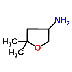5,5-Dimethyltetrahydro-3-furanamine Structure