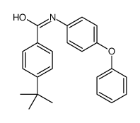 4-tert-butyl-N-(4-phenoxyphenyl)benzamide结构式