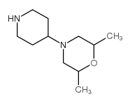 2,6-二甲基-4-哌啶-4-吗啉结构式