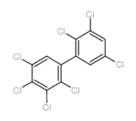 2,2',3,3',4,5,5'-Heptachlorobiphenyl Structure