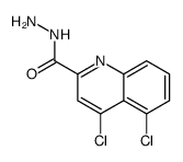 4,5-dichloroquinoline-2-carbohydrazide Structure