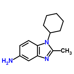 1-CYCLOHEXYL-2-METHYL-1H-BENZOIMIDAZOL-5-YLAMINE Structure