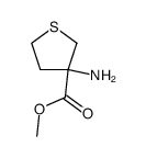 3-Thiophenecarboxylicacid,3-aminotetrahydro-,methylester(9CI) structure