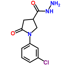 1-(3-Chlorophenyl)-5-oxo-3-pyrrolidinecarbohydrazide图片